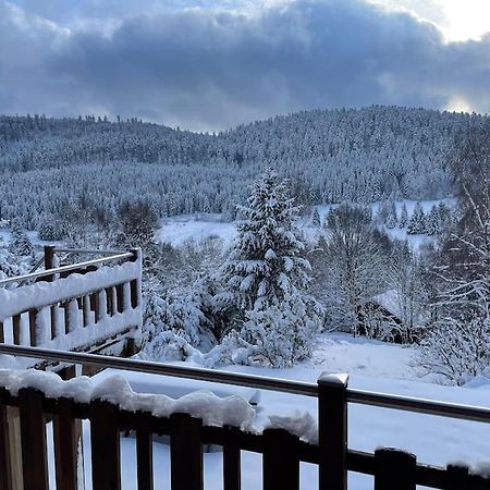 Villa Chalet Situe Au Grand Valtin Ban-sur-Meurthe-Clefcy Exterior foto