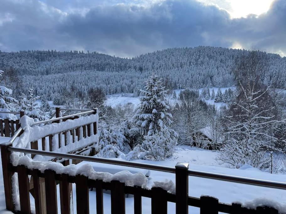 Villa Chalet Situe Au Grand Valtin Ban-sur-Meurthe-Clefcy Exterior foto
